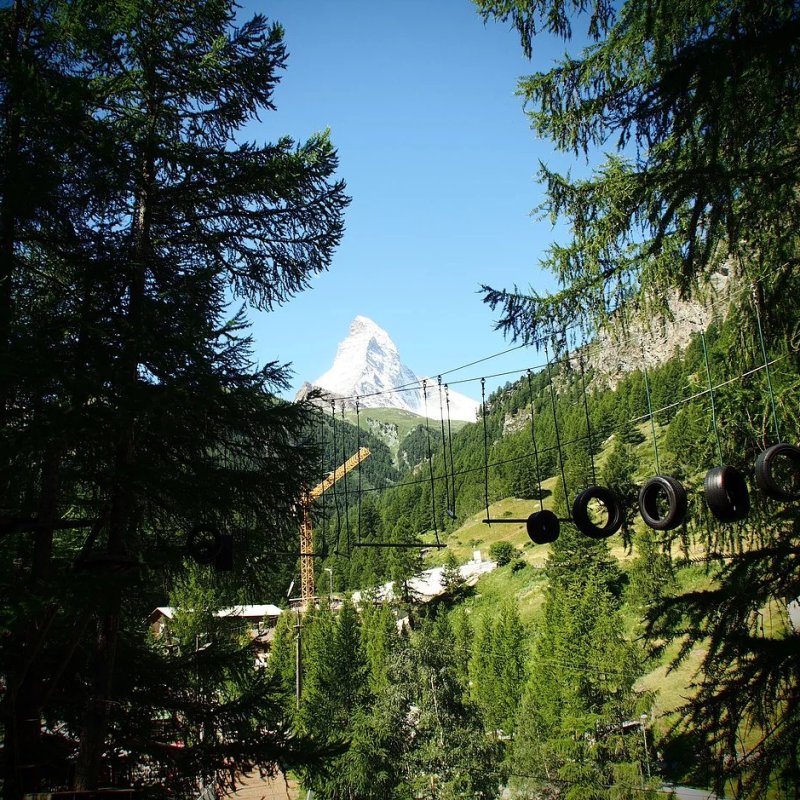 Forest-Fun-Park-and-Matterhorn