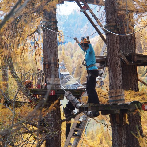 Zermatt Ropes Course for Adults